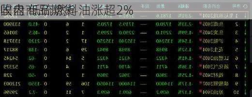 国内商品期货
收盘 低硫燃料油涨超2%