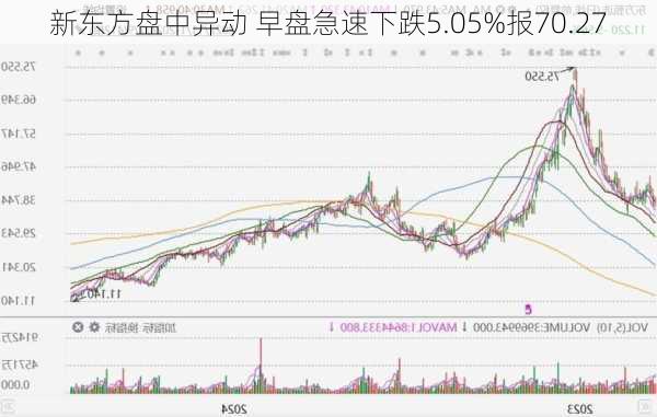 新东方盘中异动 早盘急速下跌5.05%报70.27
