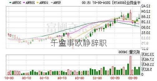 千金
：监事欧静辞职