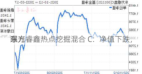 东方睿鑫热点挖掘混合 C：净值下跌，
曝光