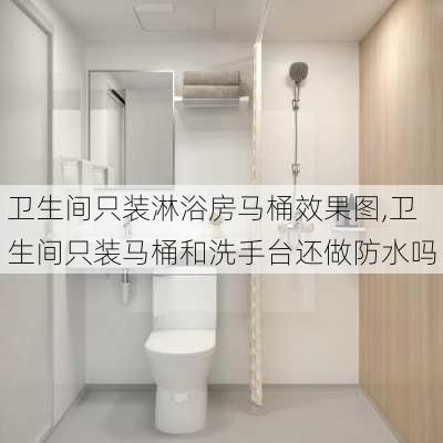 卫生间只装淋浴房马桶效果图,卫生间只装马桶和洗手台还做防水吗