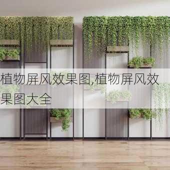 植物屏风效果图,植物屏风效果图大全