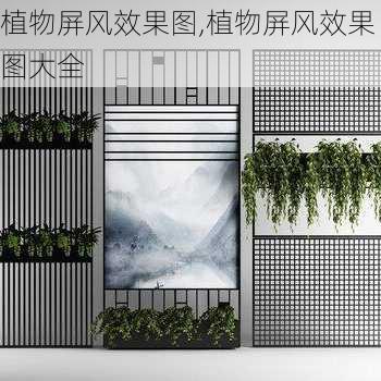 植物屏风效果图,植物屏风效果图大全