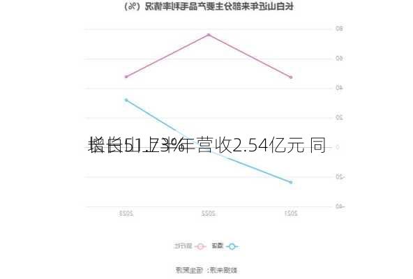 长白山上半年营收2.54亿元 同
增长51.73%