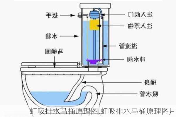 虹吸排水马桶原理图,虹吸排水马桶原理图片