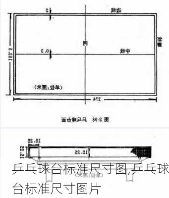 乒乓球台标准尺寸图,乒乓球台标准尺寸图片