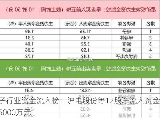 电子行业资金流入榜：沪电股份等12股净流入资金超5000万元