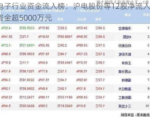 电子行业资金流入榜：沪电股份等12股净流入资金超5000万元