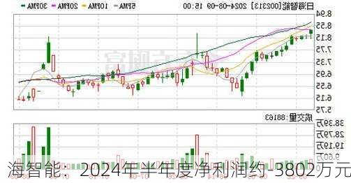 
海智能：2024年半年度净利润约-3802万元