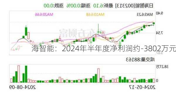 
海智能：2024年半年度净利润约-3802万元