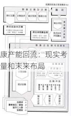 
康产能回流：现实考量和未来布局