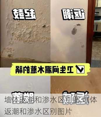 墙体返潮和渗水区别图,墙体返潮和渗水区别图片