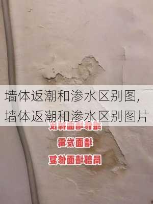 墙体返潮和渗水区别图,墙体返潮和渗水区别图片