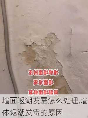 墙面返潮发霉怎么处理,墙体返潮发霉的原因