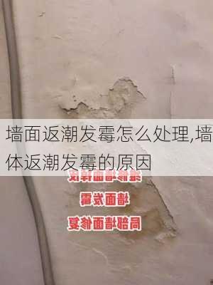 墙面返潮发霉怎么处理,墙体返潮发霉的原因