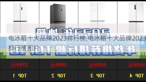 电冰箱十大品牌2023排行榜,电冰箱十大品牌2023排行榜图片