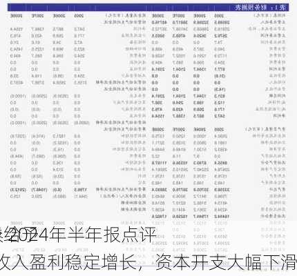 民生证券给予
推荐评级 2024年半年报点评：24H1收入盈利稳定增长，资本开支大幅下滑