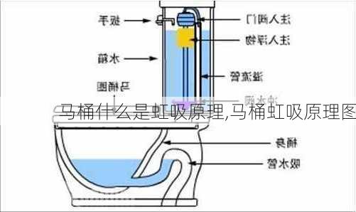 马桶什么是虹吸原理,马桶虹吸原理图