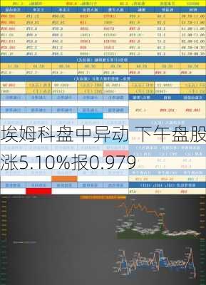 埃姆科盘中异动 下午盘股价大涨5.10%报0.979
