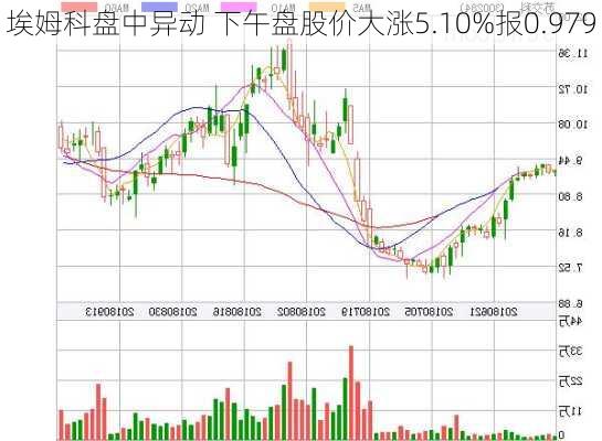 埃姆科盘中异动 下午盘股价大涨5.10%报0.979
