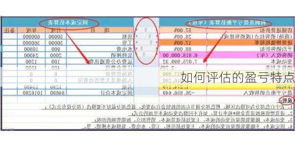 如何评估的盈亏特点