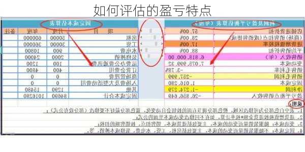 如何评估的盈亏特点