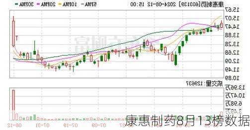 康惠制药8月13榜数据