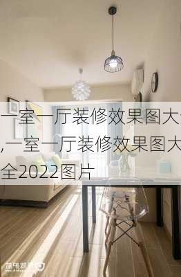 一室一厅装修效果图大全,一室一厅装修效果图大全2022图片