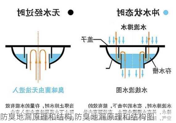 防臭地漏原理和结构,防臭地漏原理和结构图