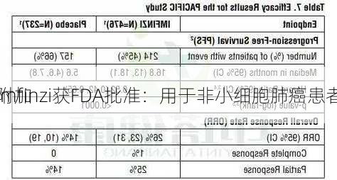 
Imfinzi获FDA批准：用于非小细胞肺癌患者
附加
