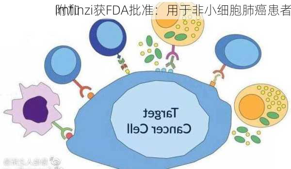 
Imfinzi获FDA批准：用于非小细胞肺癌患者
附加
