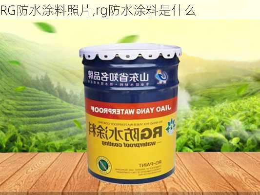 RG防水涂料照片,rg防水涂料是什么