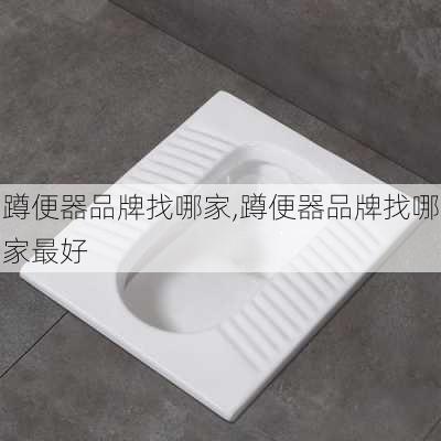 蹲便器品牌找哪家,蹲便器品牌找哪家最好