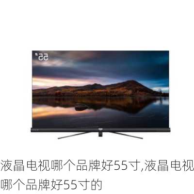 液晶电视哪个品牌好55寸,液晶电视哪个品牌好55寸的