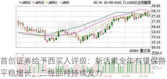 首创证券给予西买入评级：新活素全年有望保持平稳增长，二线品种持续发力