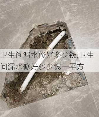 卫生间漏水修好多少钱,卫生间漏水修好多少钱一平方