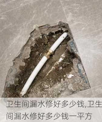 卫生间漏水修好多少钱,卫生间漏水修好多少钱一平方