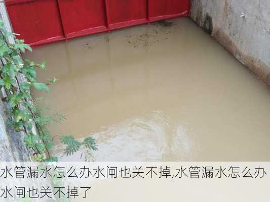 水管漏水怎么办水闸也关不掉,水管漏水怎么办水闸也关不掉了