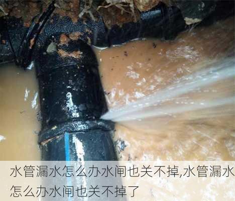 水管漏水怎么办水闸也关不掉,水管漏水怎么办水闸也关不掉了