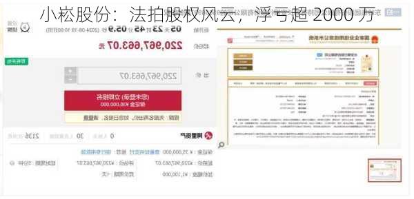 小崧股份：法拍股权风云，浮亏超 2000 万