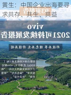 黄生：中国企业出海要寻求共存、共生、共益