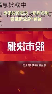 因募
金
和信息披露中违规 绿的谐波及高管被警示