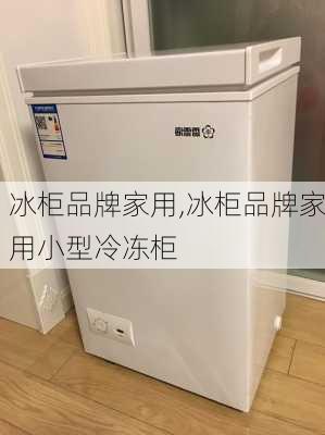 冰柜品牌家用,冰柜品牌家用小型冷冻柜