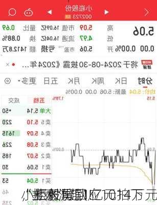 “土豪”超1亿元拍下
，拒付尾款！1014万元
“打水漂”！
小崧股份回应