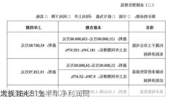 大族激光：上半年净利润同
增长184.81%