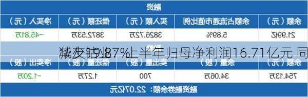 华友钴业：上半年归母净利润16.71亿元 同
减少19.87%