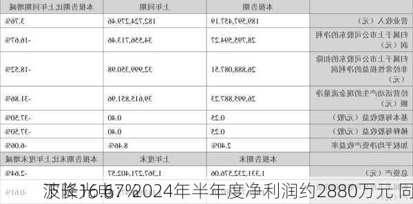 波长光电：2024年半年度净利润约2880万元 同
下降16.67%