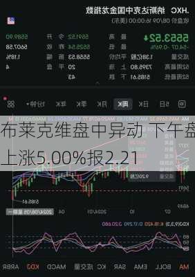 布莱克维盘中异动 下午盘快速上涨5.00%报2.21
