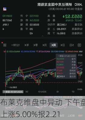 布莱克维盘中异动 下午盘快速上涨5.00%报2.21
