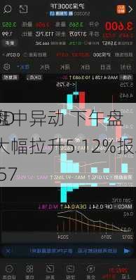 3D
盘中异动 下午盘大幅拉升5.12%报2.57
